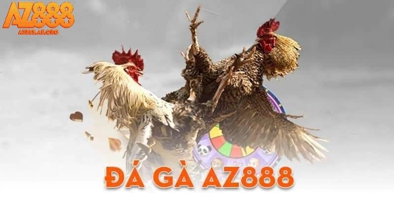 Trải nghiệm cá cược đá gà tại AZ888
