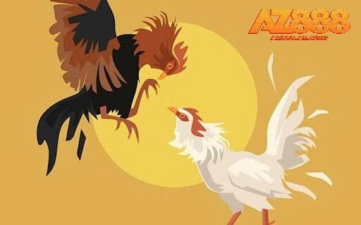 Các hình thức đá gà kịch tính